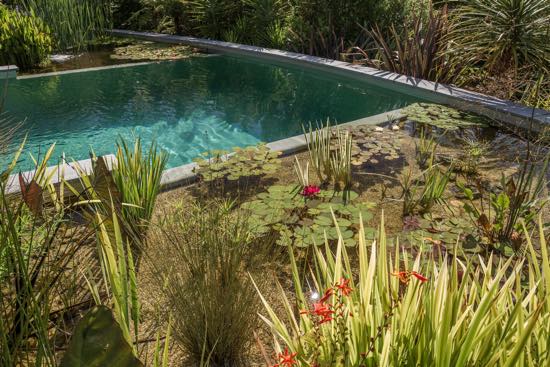 Natural-swimming-pool-Kaiteriteri-3 natural swimming pool - chemical free