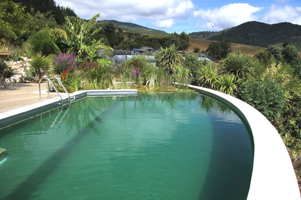 Riwaka3 lighter chemical free swimming