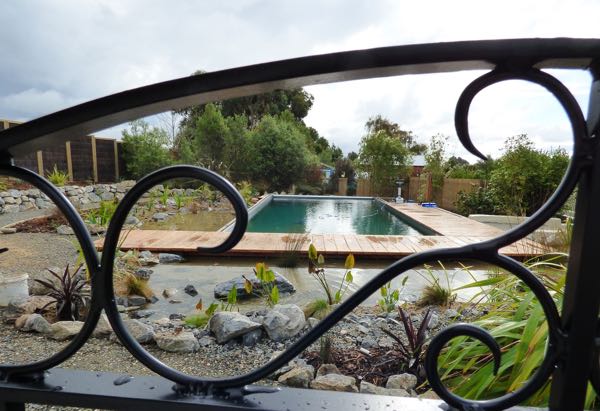 natural-swimming-pools-Upper-Moutere3 chemical free swimming pools