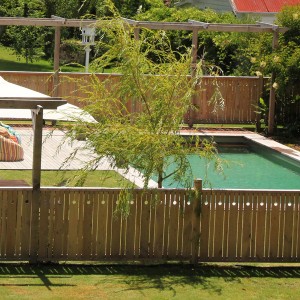 solid fence solid timber pool fence