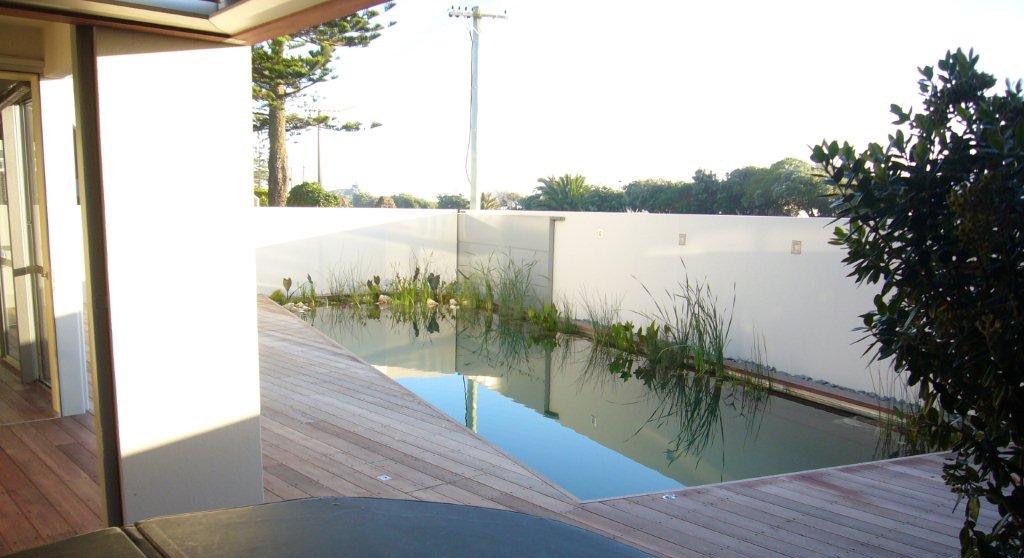 chemical free swimming pool nz