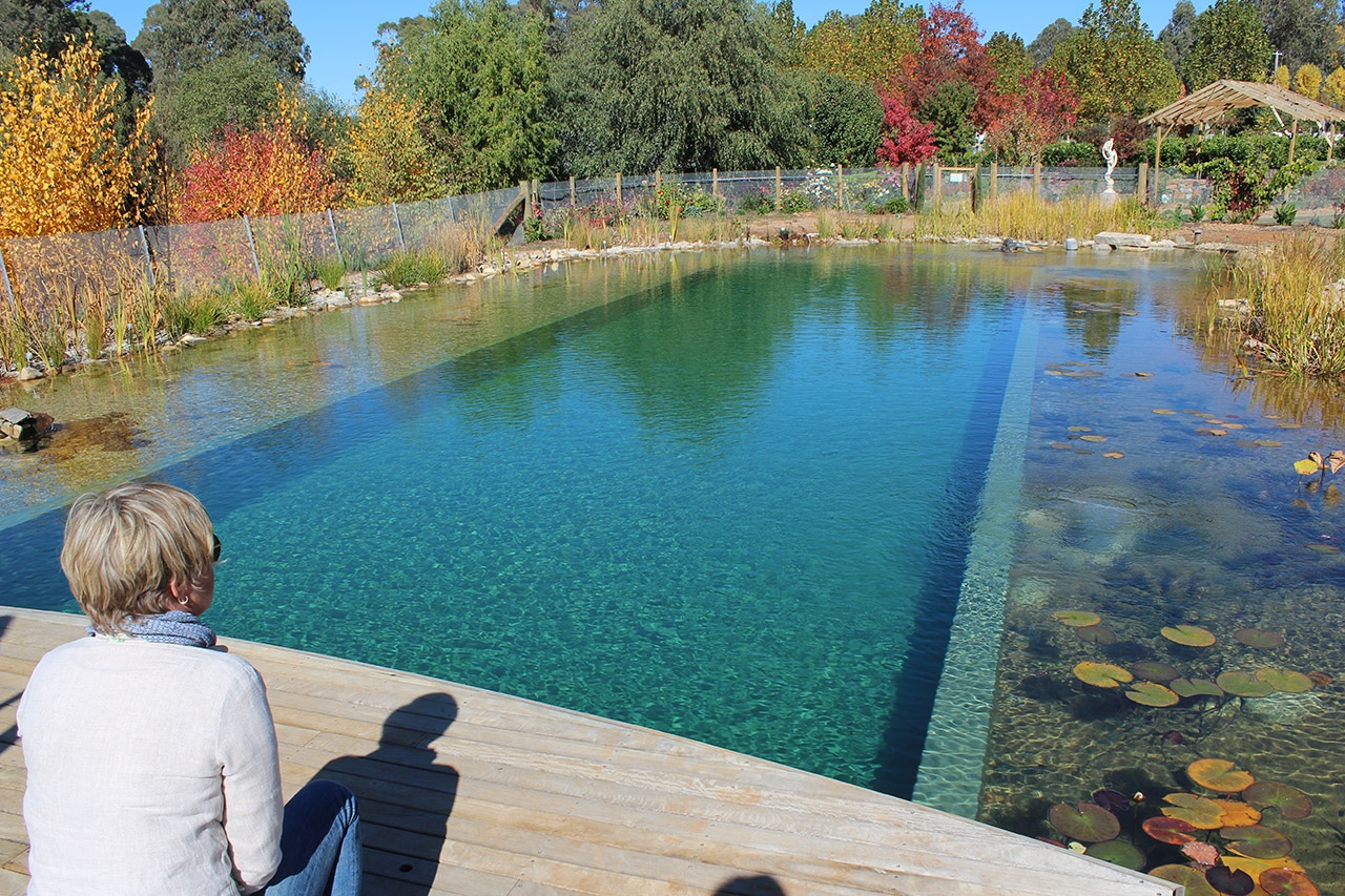 natural pool chemical free
