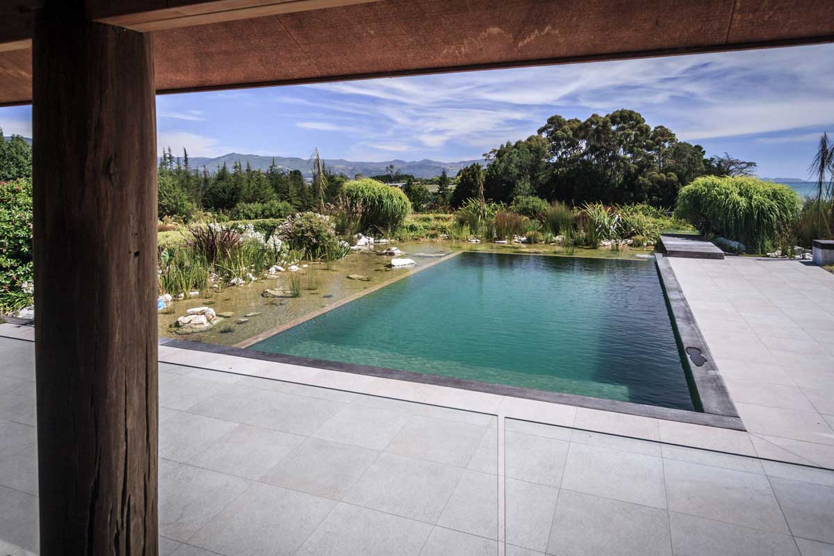 chemical free pool