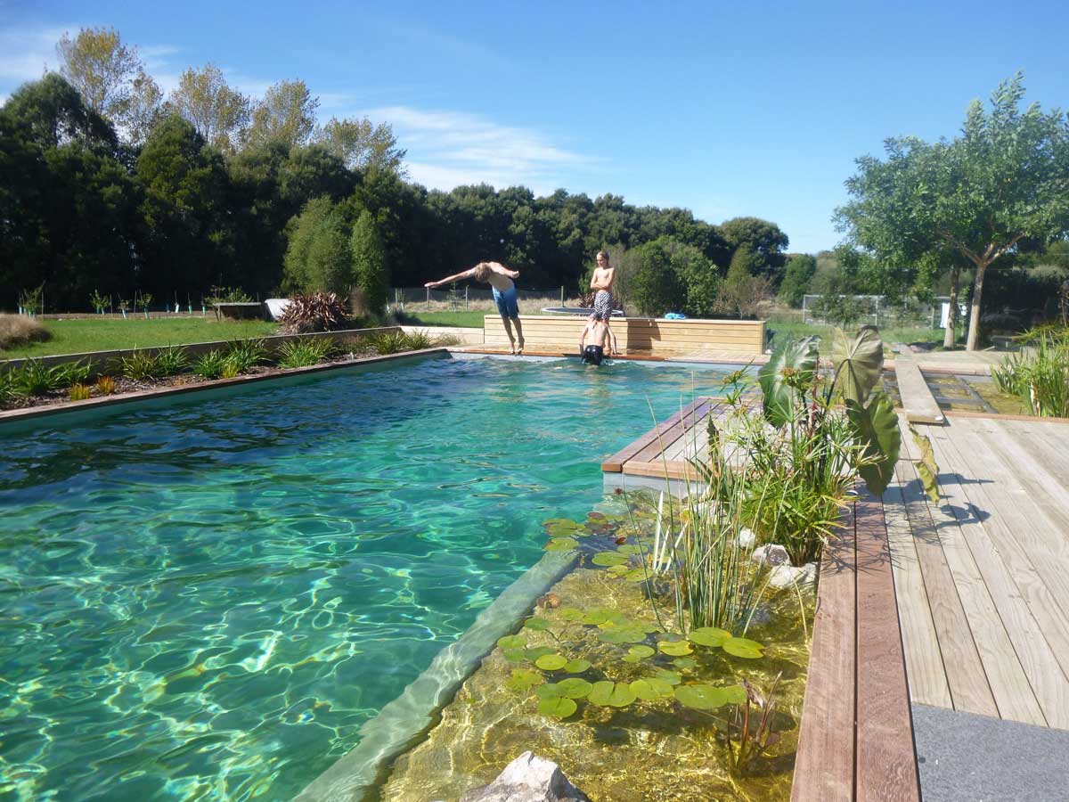 Natural Pool