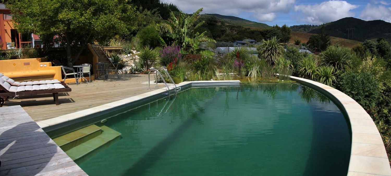 chemical free swimming
