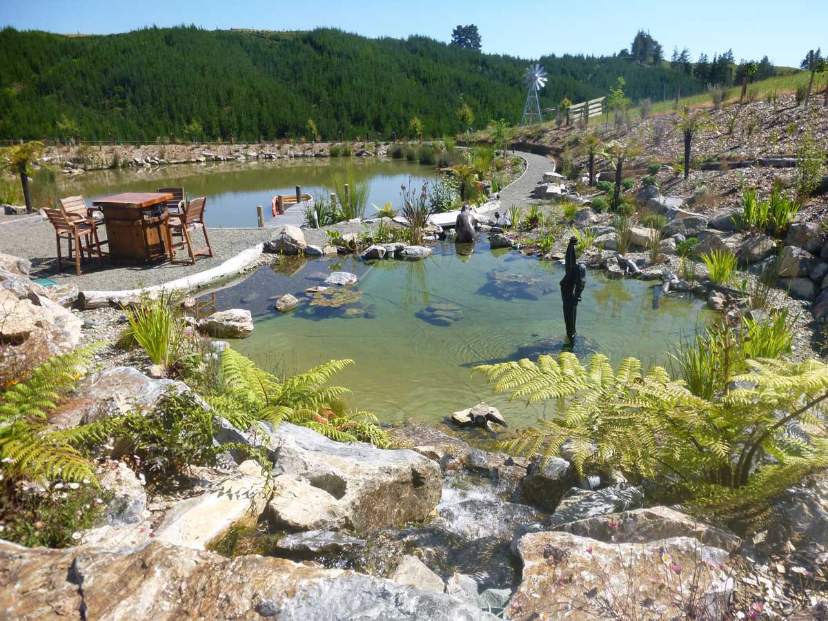 dam ponds